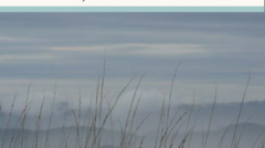 Deep Times Molly Brown