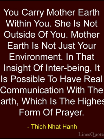 Interbeing Thich Nhat Hanh
