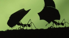 Hokusai Says – Roger Keyes